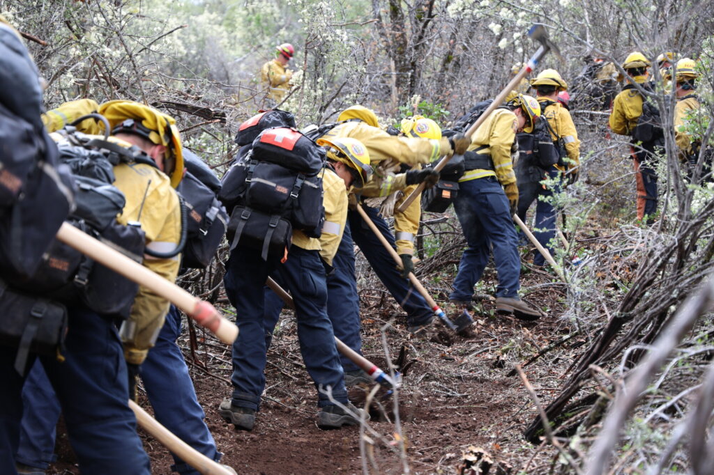 firefighters clearing a path