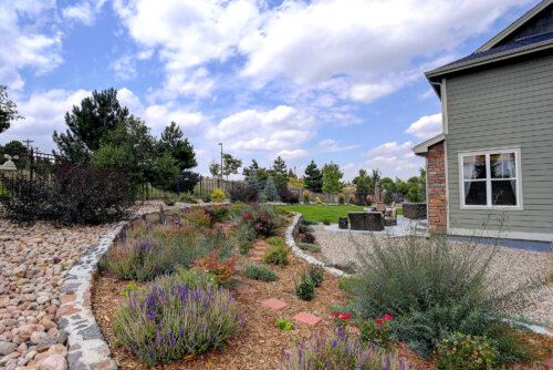 defensible space landscaping