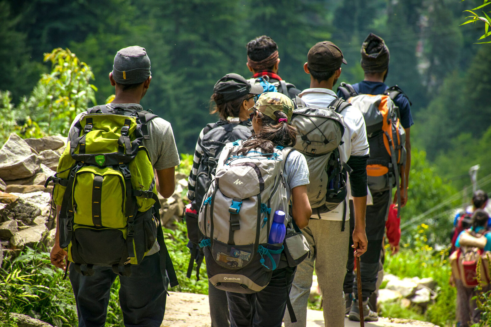 a group of people in hiking gear walking in a forest