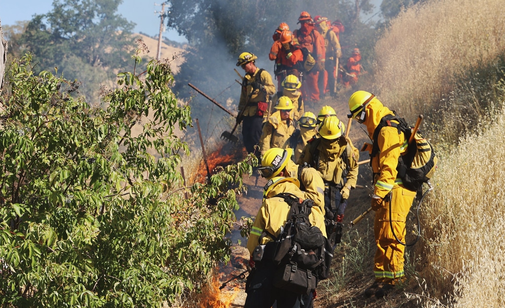 firefighters conducting a prescribed burn