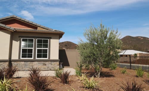 firesmart landscaping home