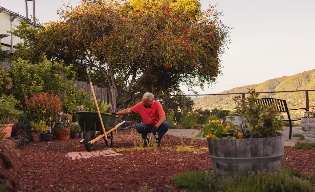 man gardening in backyard