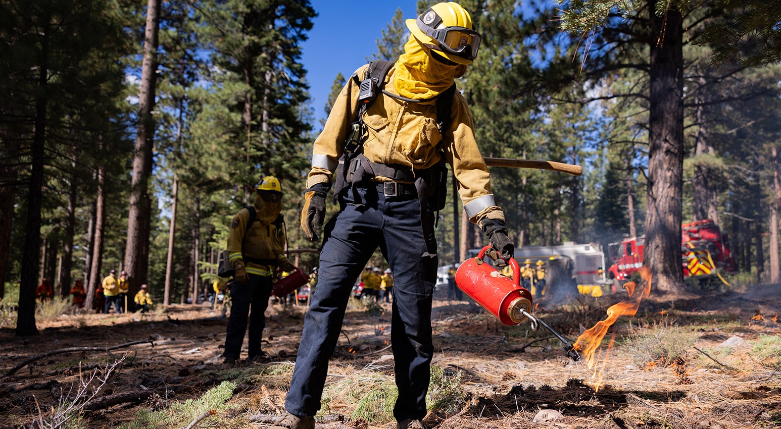 forest and fuels header alternate